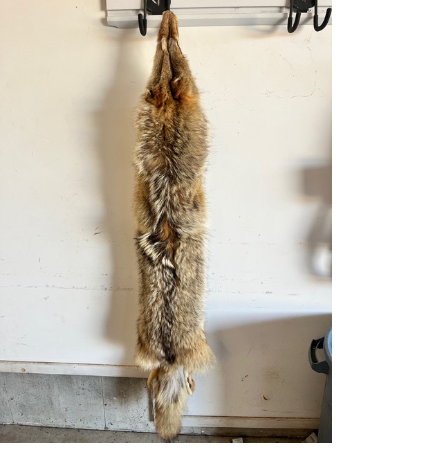 A stuffed animal on a white surface
AI-generated content may be incorrect.